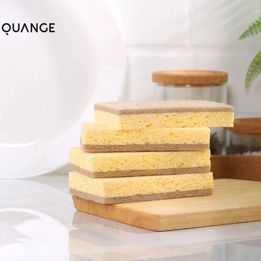 EcoSoft Sponge