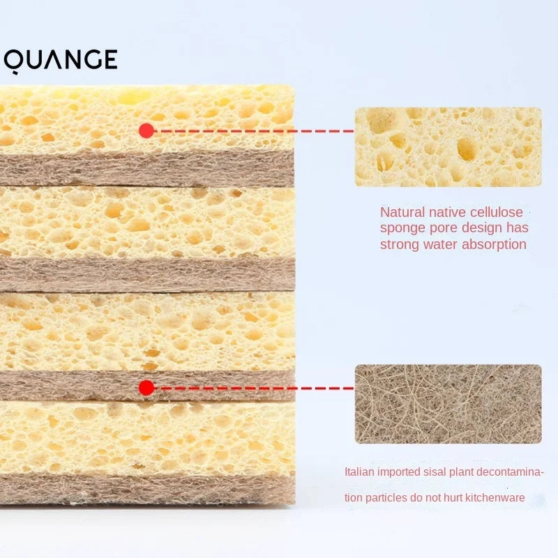 EcoSoft Sponge